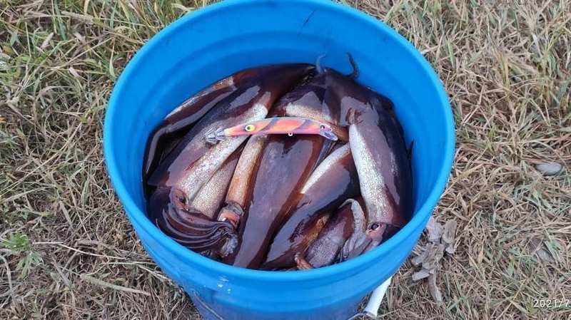 КАЛЬМАРНЫЙ ВОБЛЕР MONSTER