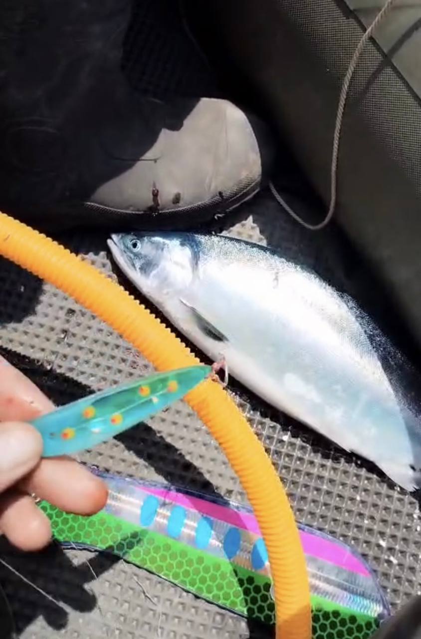 Блесна троллинговая Assist № 7