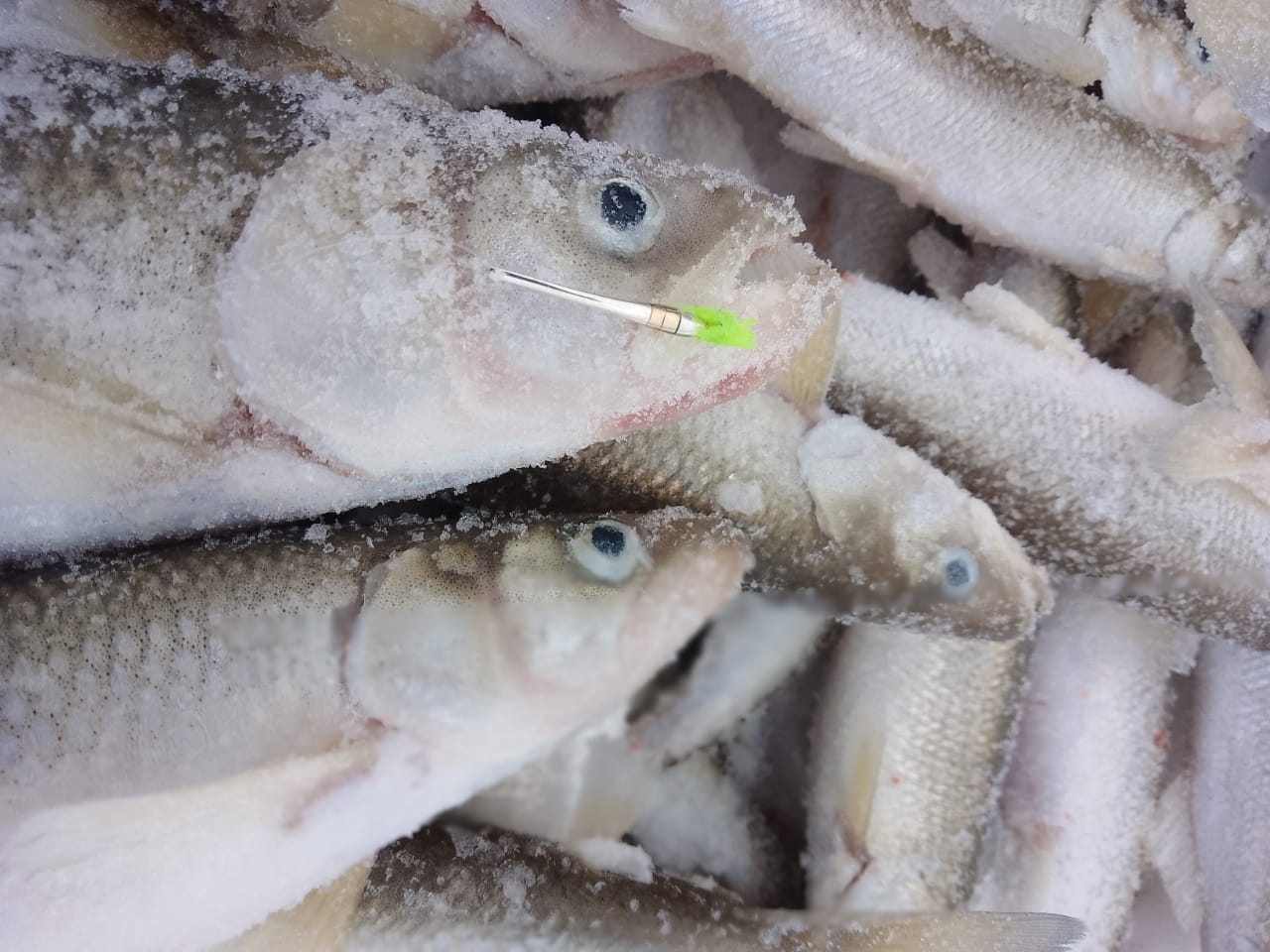 Блесна Кобра-мормышка 2,5 см