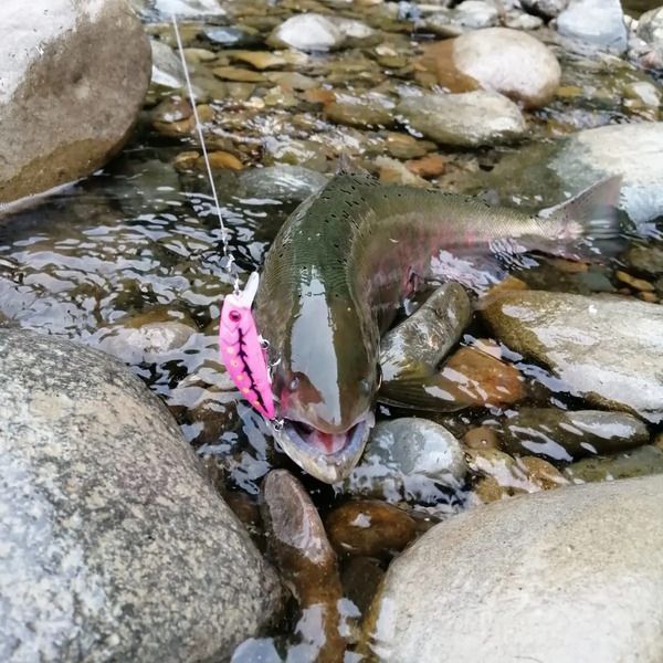 Набор из 6 розовых воблеров