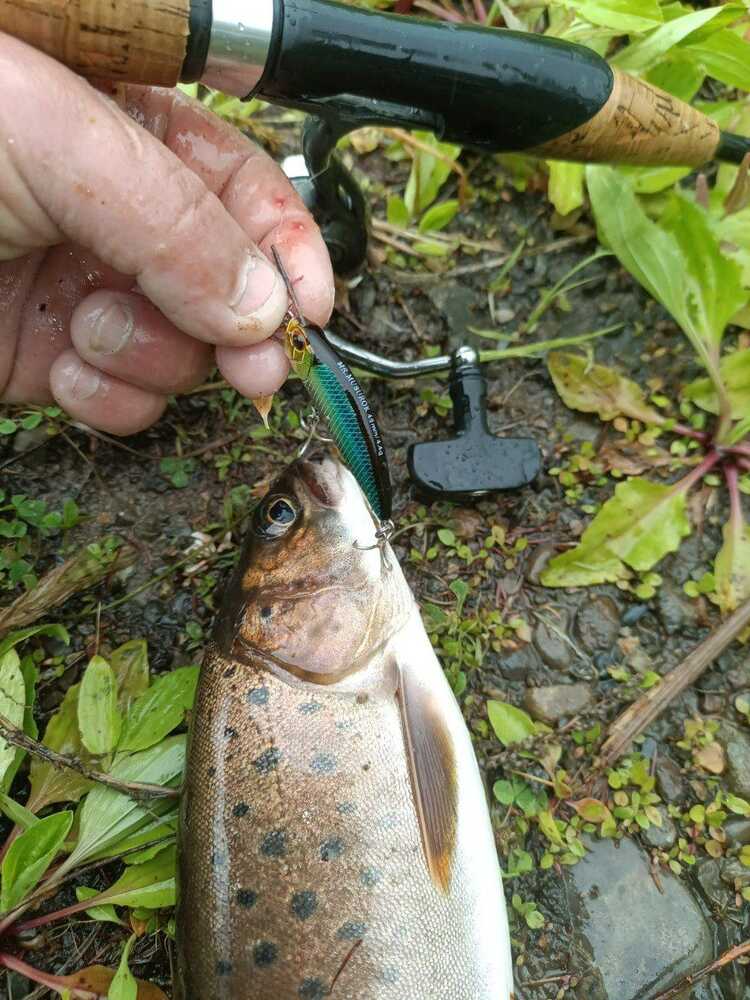 Воблер 45 мм № 39