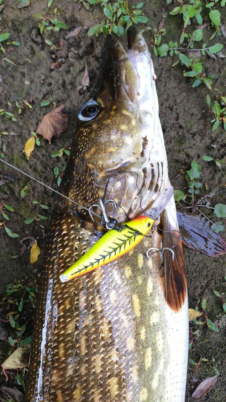 Воблер 80 мм 11 гр  № 104