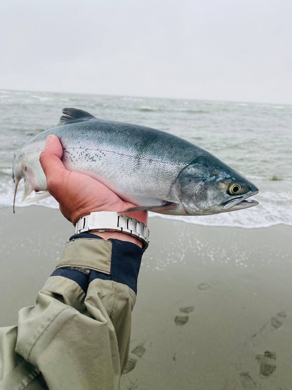 Воблер 65 мм 7.9 гр  № 18