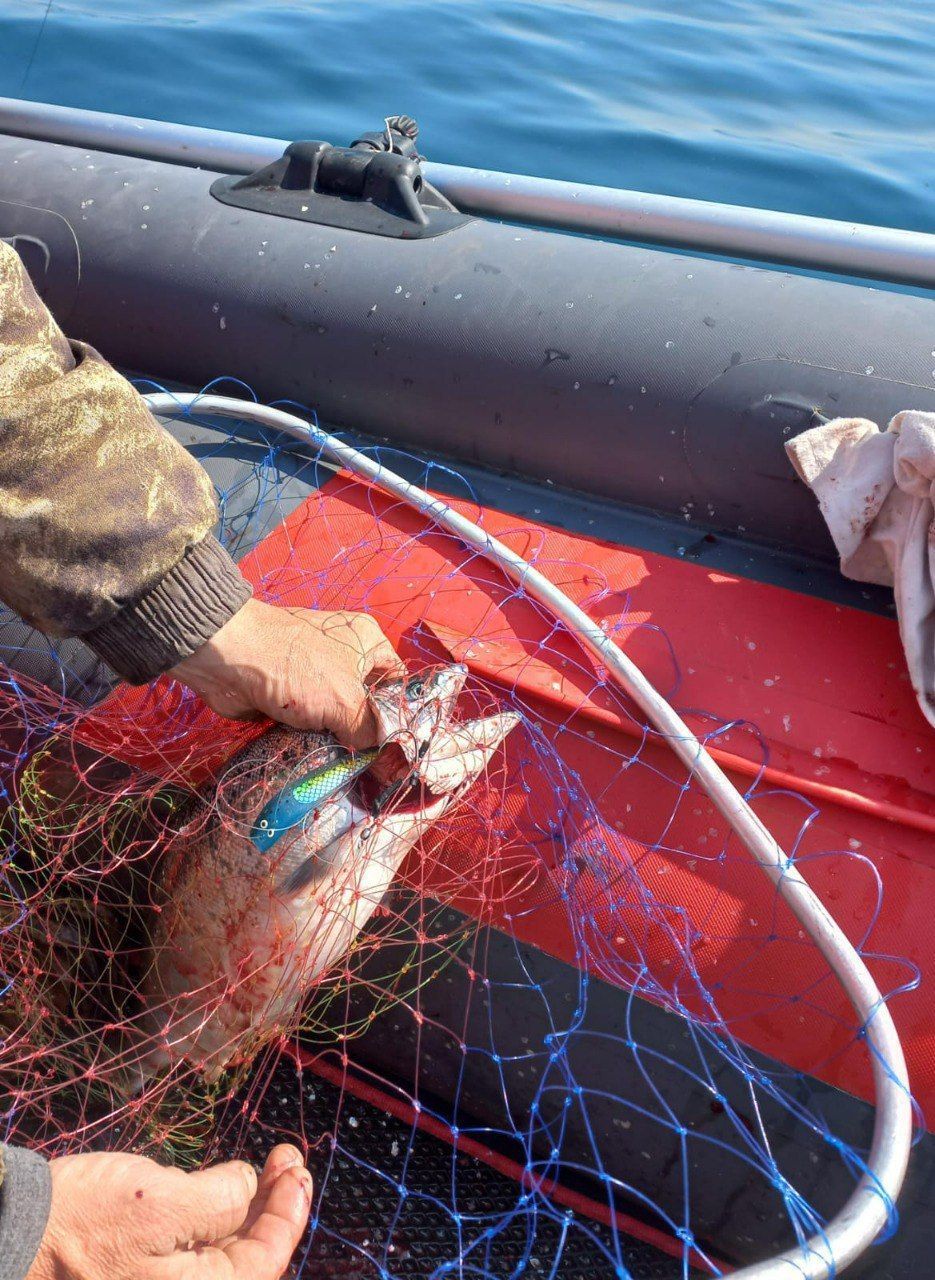 Блесна троллинговая Assist № 127