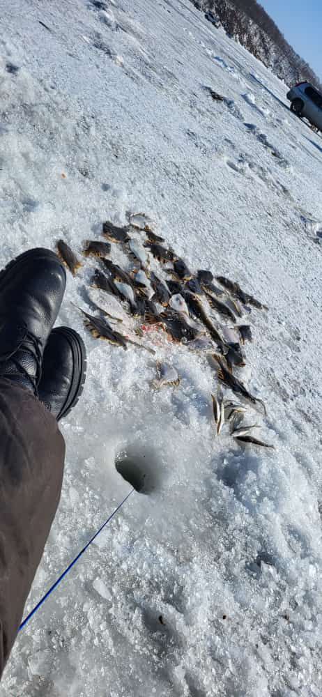 Блесна Астра 1,5 см