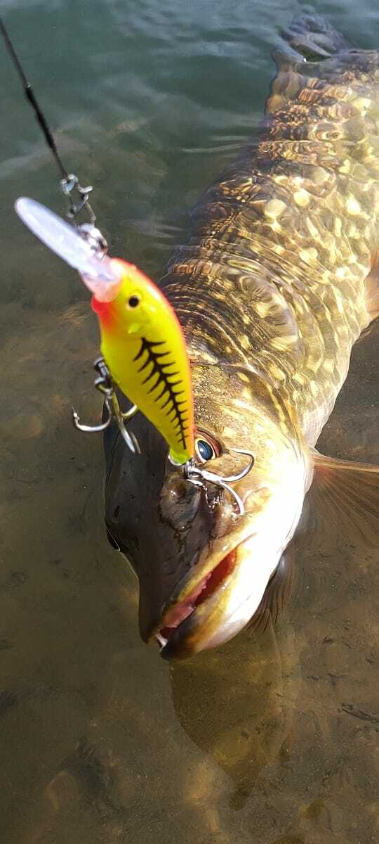 Воблер 80 мм 11 гр  № 104