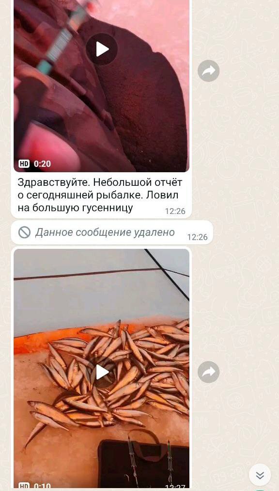 Блесна Гусеница большая 2,7 см