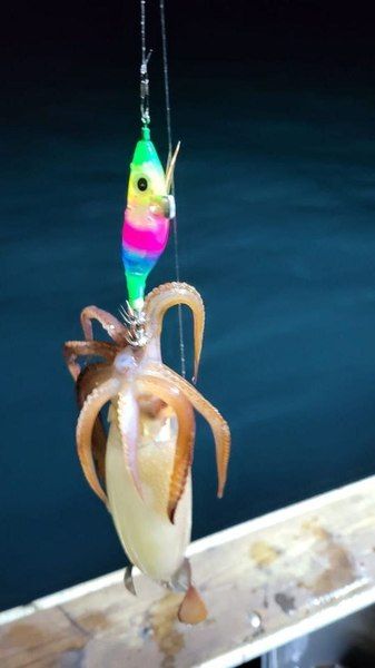 Набор на кальмара "Охотник"