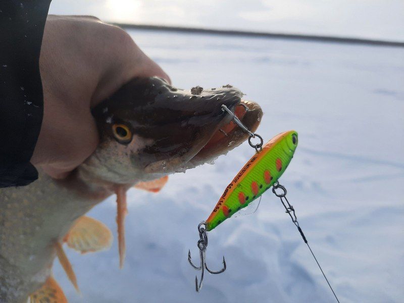 Раттлин 60 мм 14,5 гр № 56