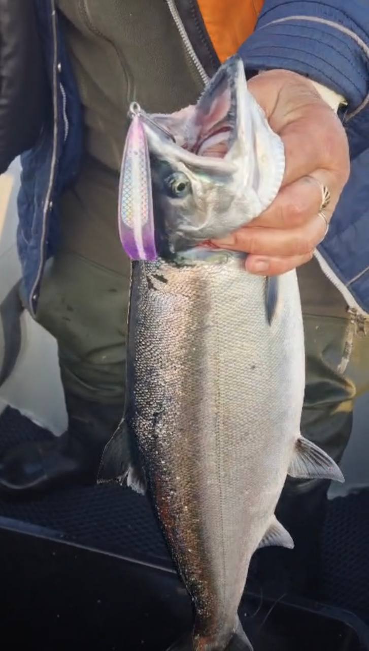 Блесна троллинговая Assist № 2