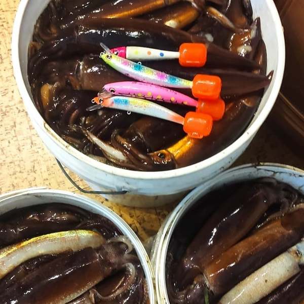 КАЛЬМАРНЫЙ ВОБЛЕР PARROT