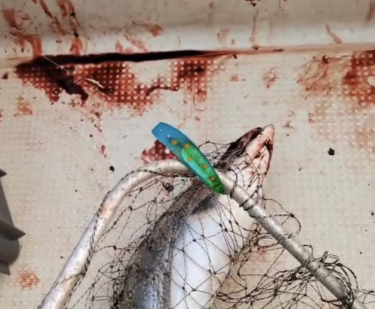 Блесна троллинговая Assist № 7