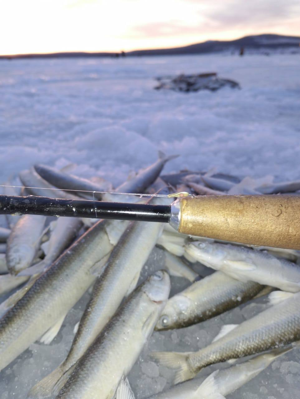 Блесна Огонь 0,8 см UV-вставка