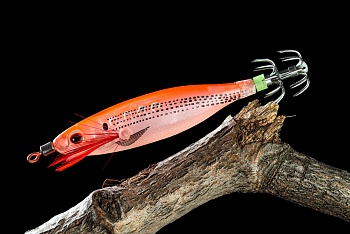 Кальмарница Carrot Fish